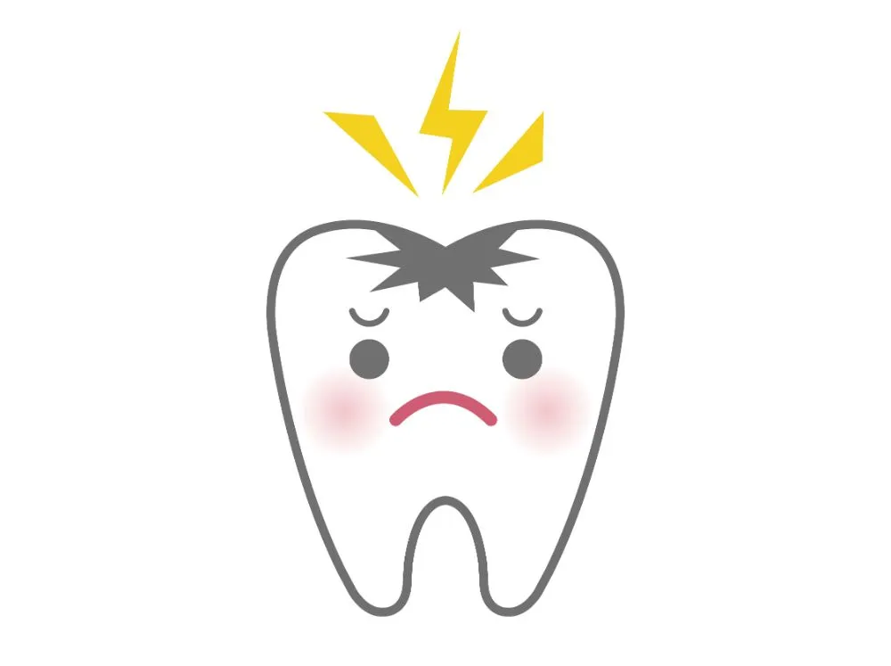 乳歯は虫歯になりやすい